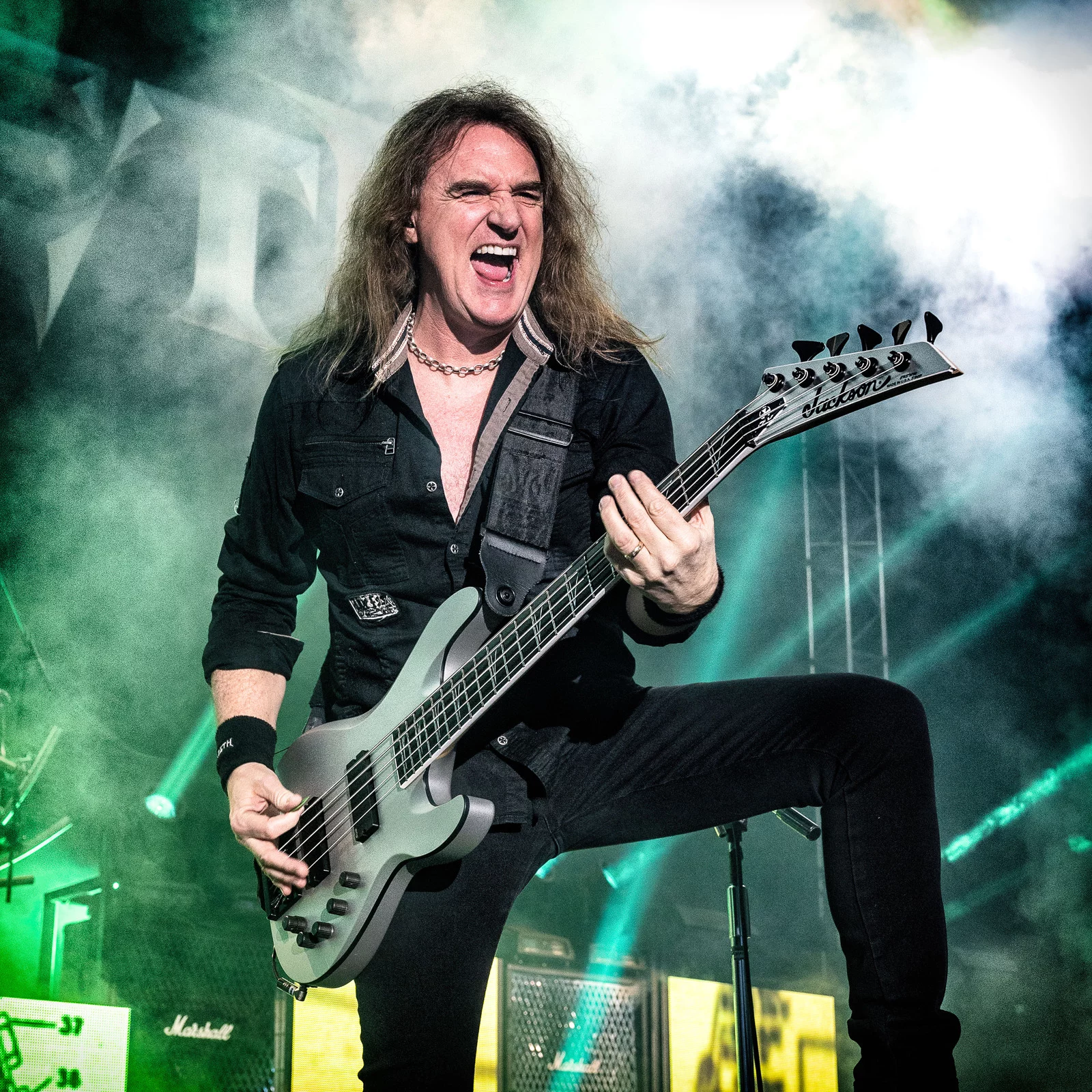 Dave Ellefson